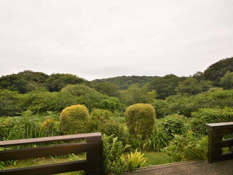 Tree top views