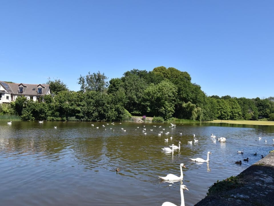 Pembroke Mill Pond
