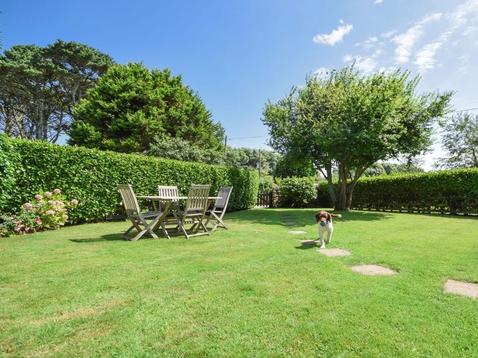 Perfect for your four legged friends and a great little sun trap