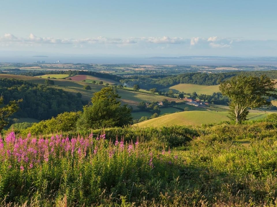The scenic Quantock Hills are great for walkers  