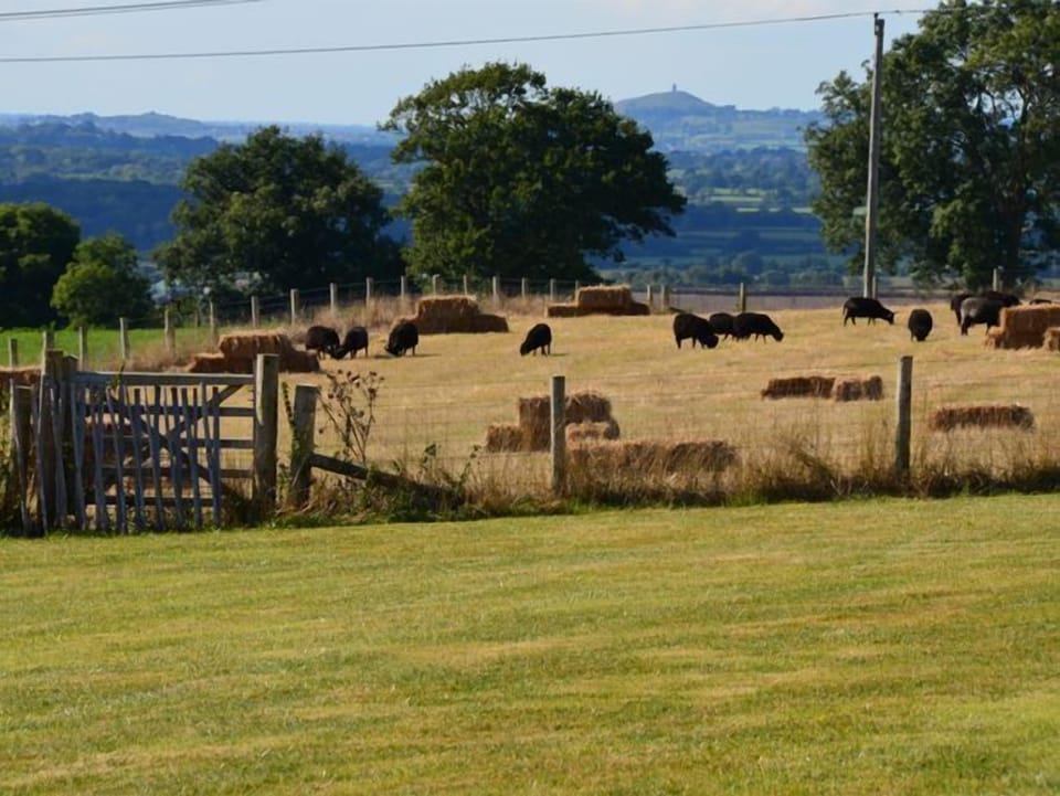 Views over to Glastonbury Tor