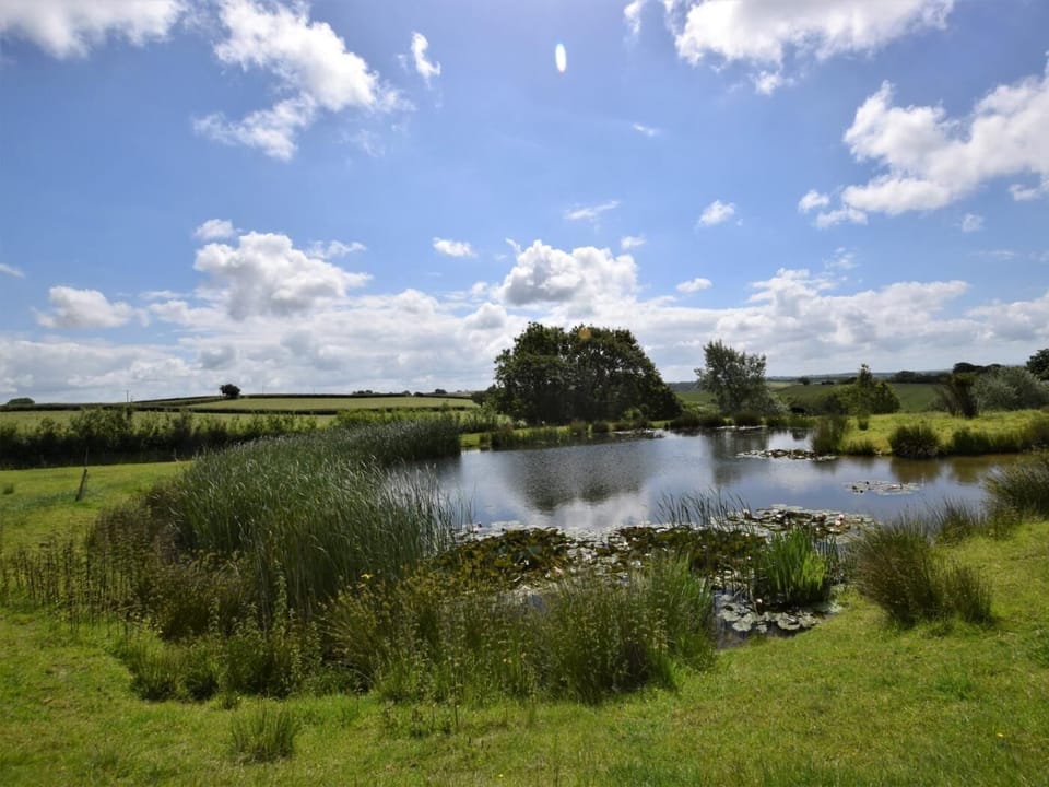 Lake on site 