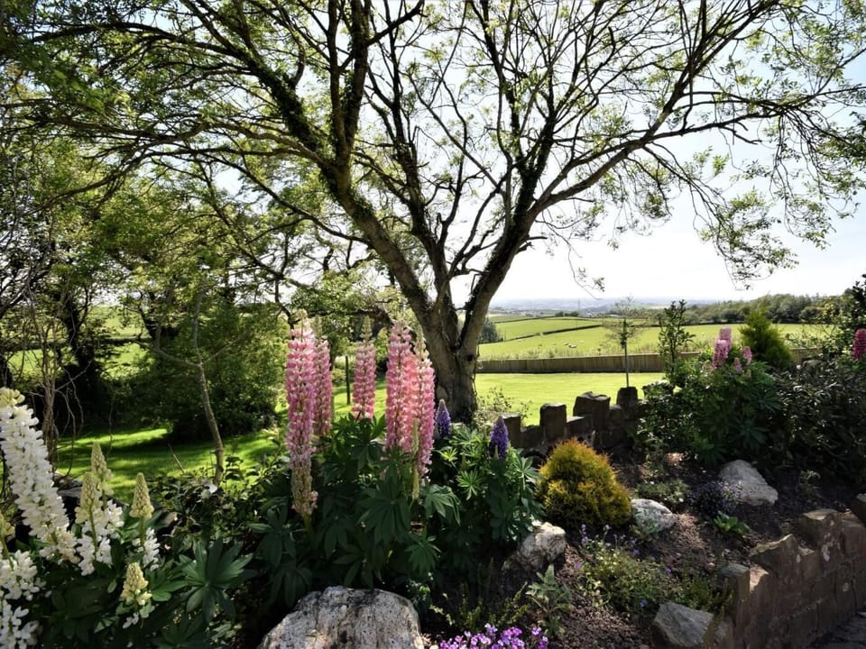 Countryside views from the grounds of the farm