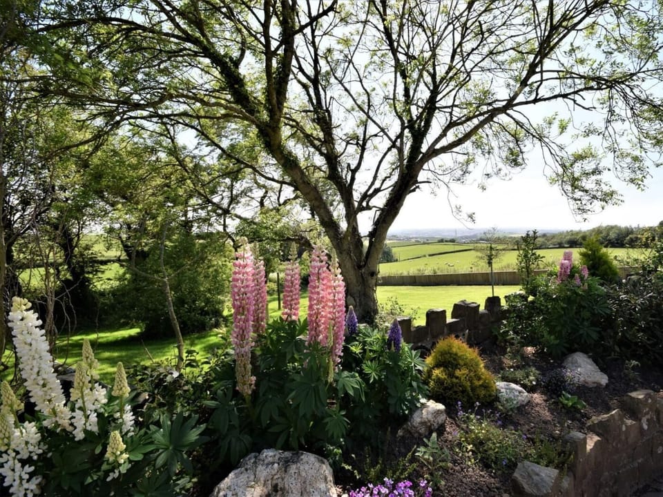 Countryside views from the farm