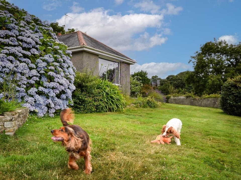 Lots of fun to be had in the wraparound garden
