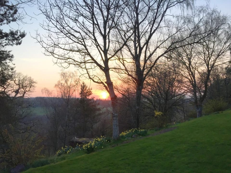Enjoy the evening sunsets