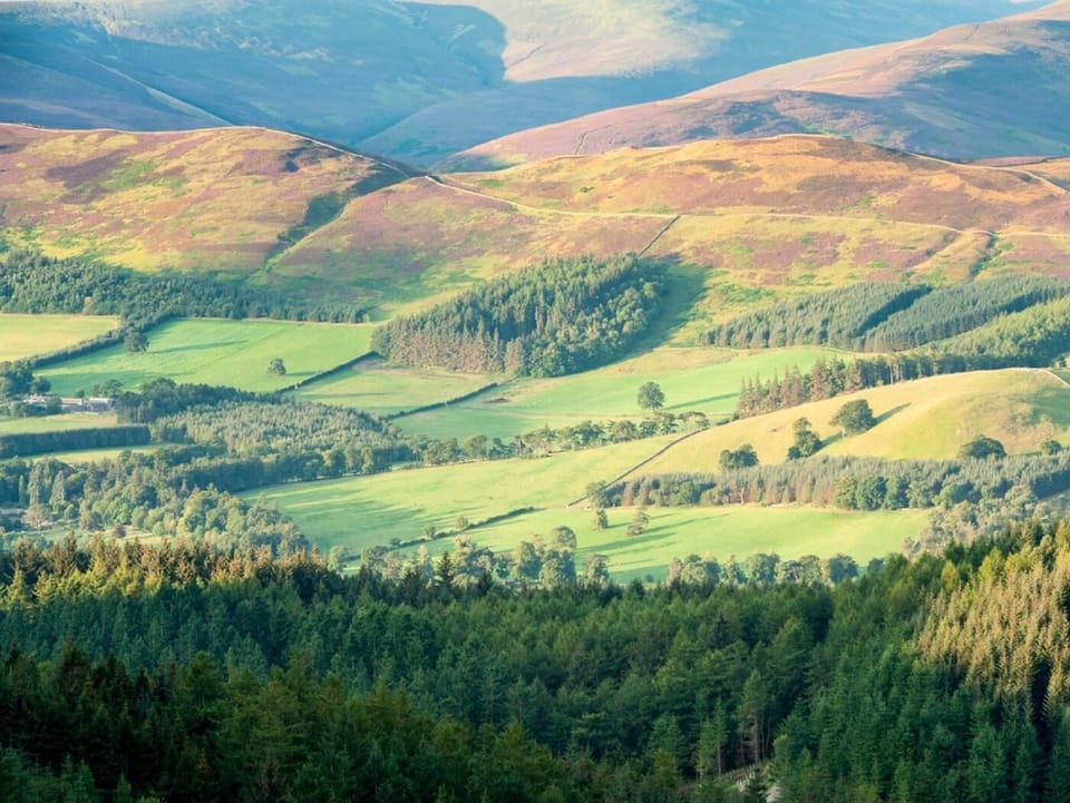 Beautiful Glentress Forest