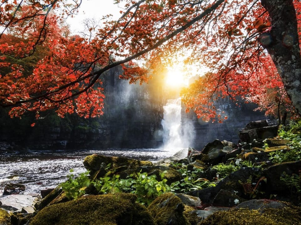 Visit the spectacle that is High Force Waterfalls 