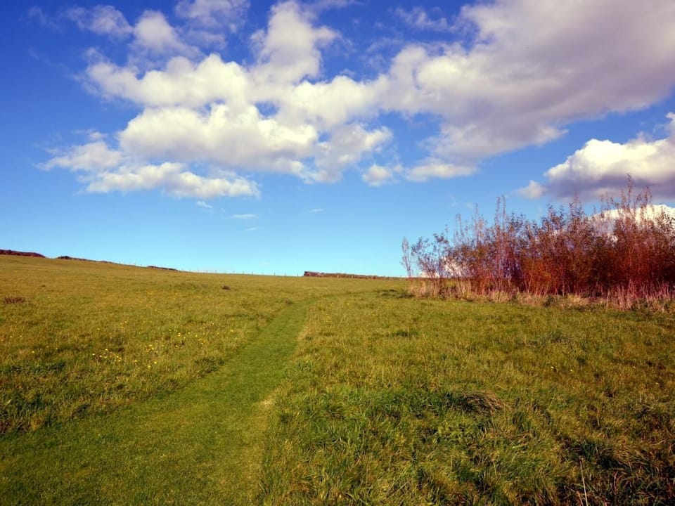 Lovely shared field with cut walkways