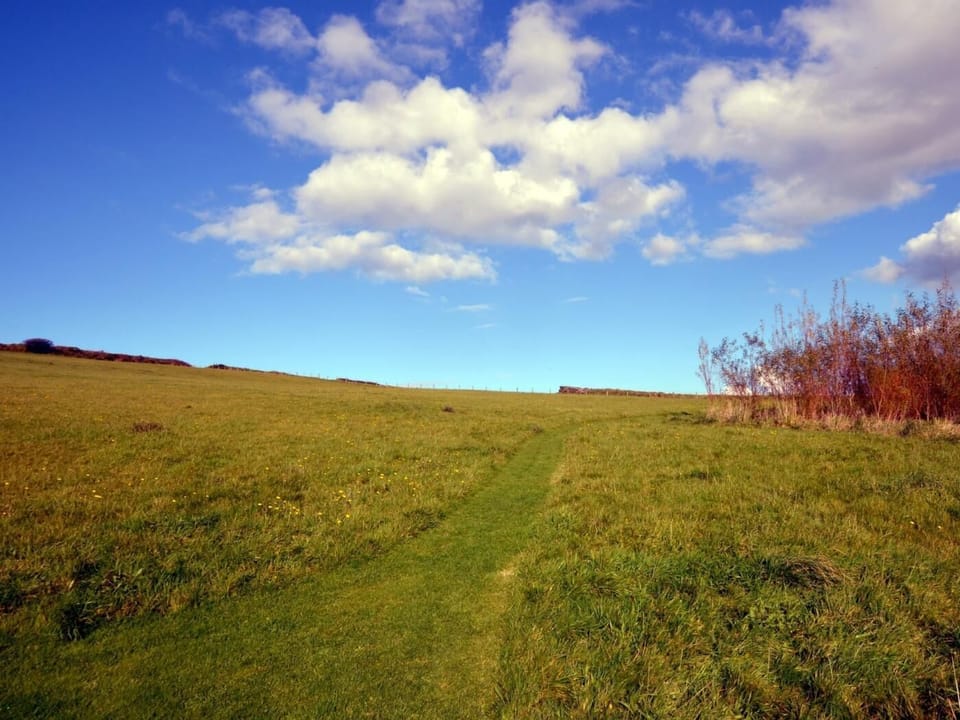 Lovely shared field with cut walkways