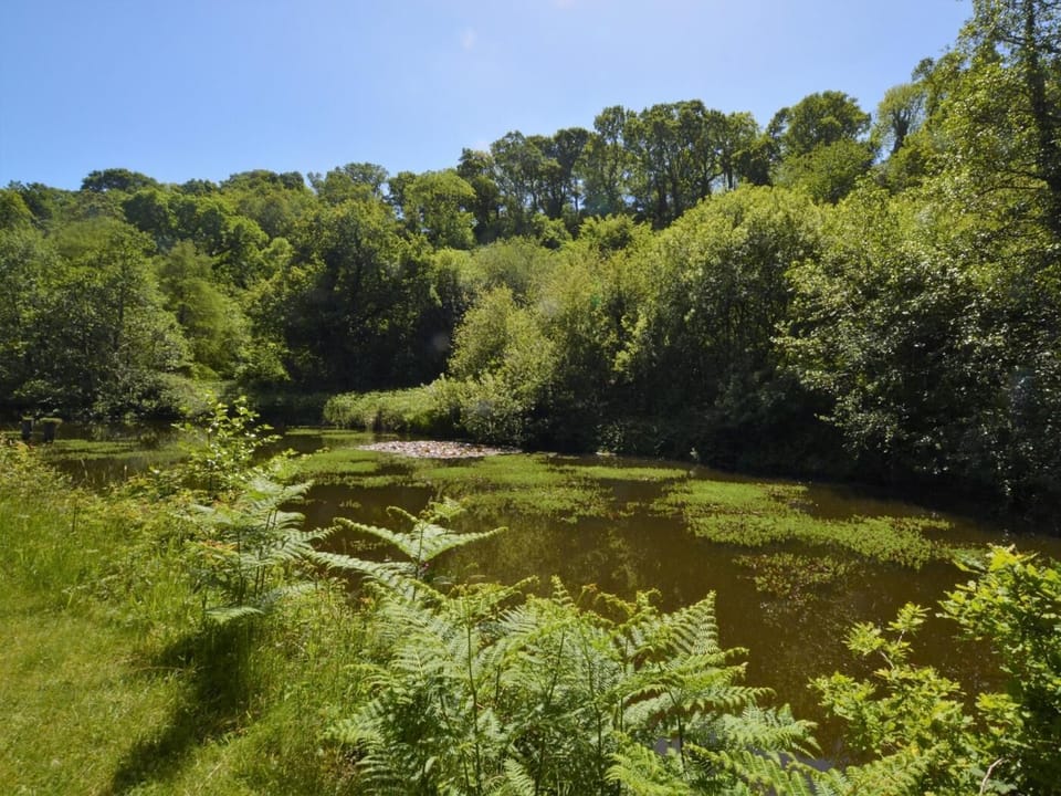 Sit by one of the two lakes and watch the wildlife