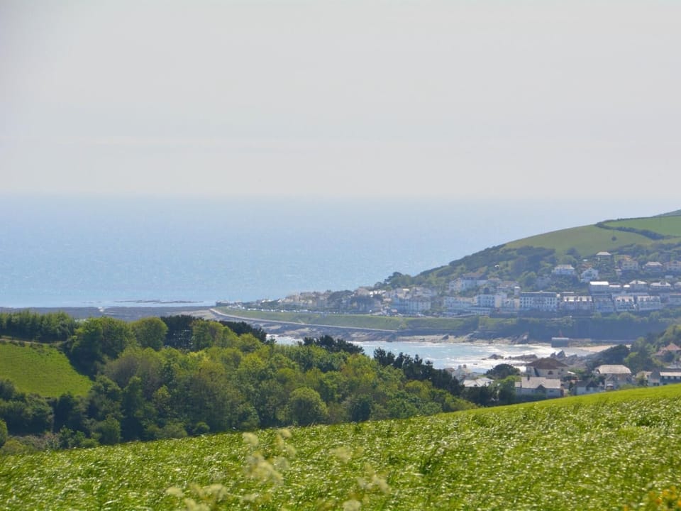 Views out to Looe and the sea from the shared gardens