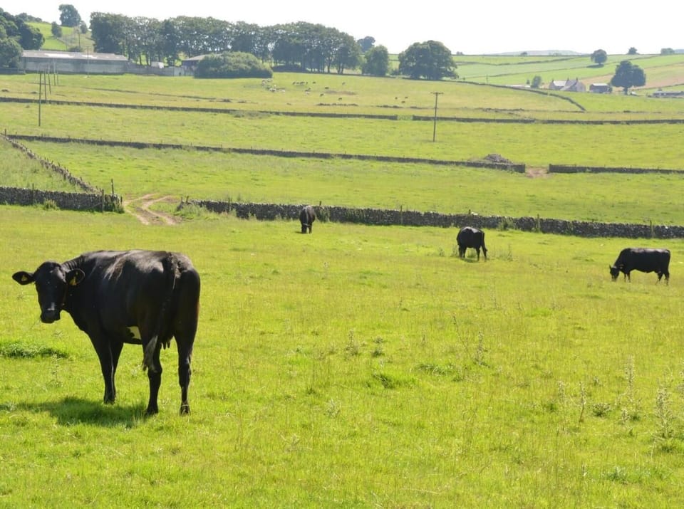 Local residents and beautiful views