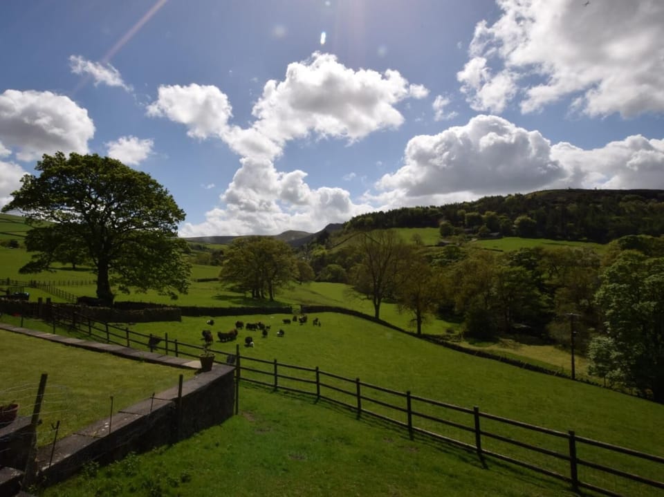 Gorgeous views