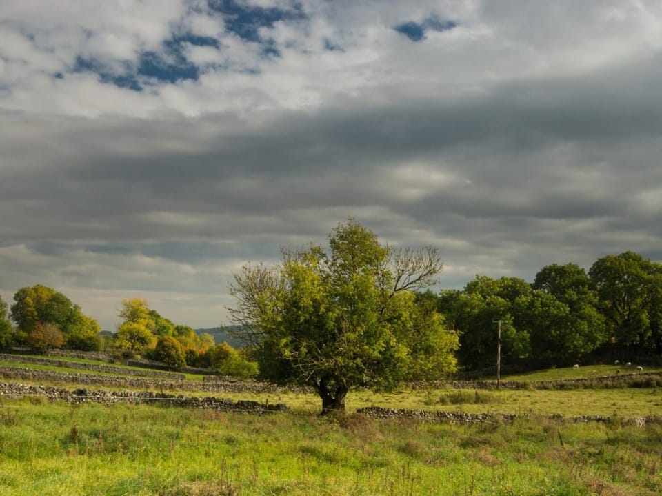 Rural views from the rear