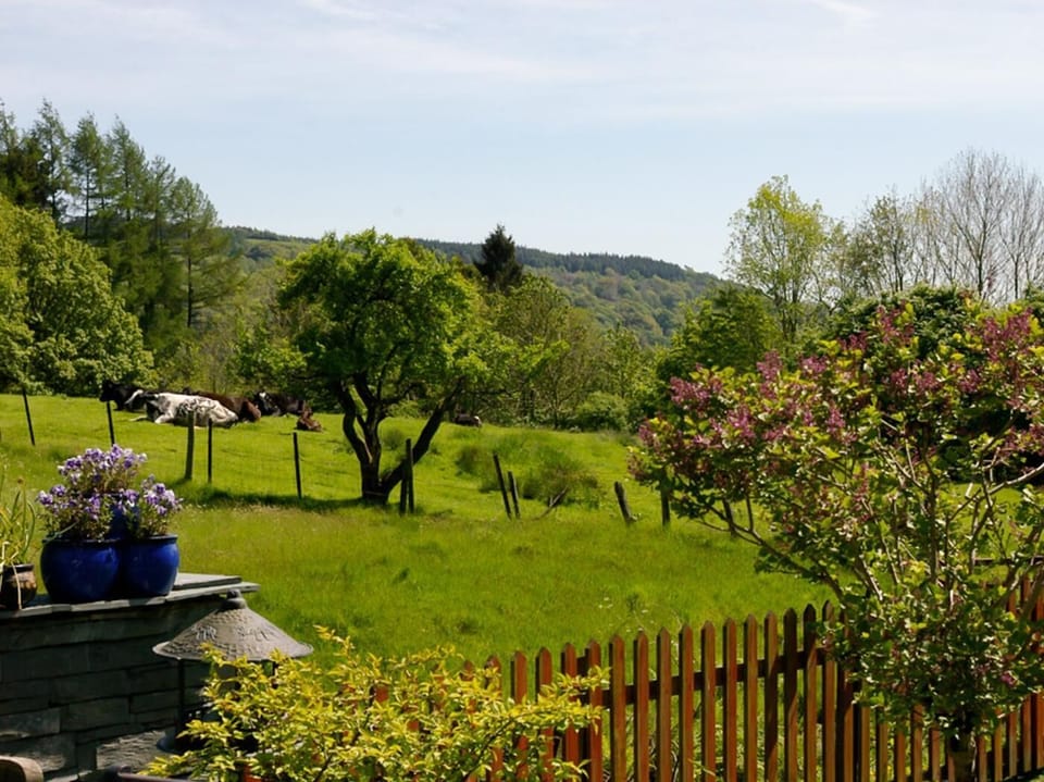 Garden views 