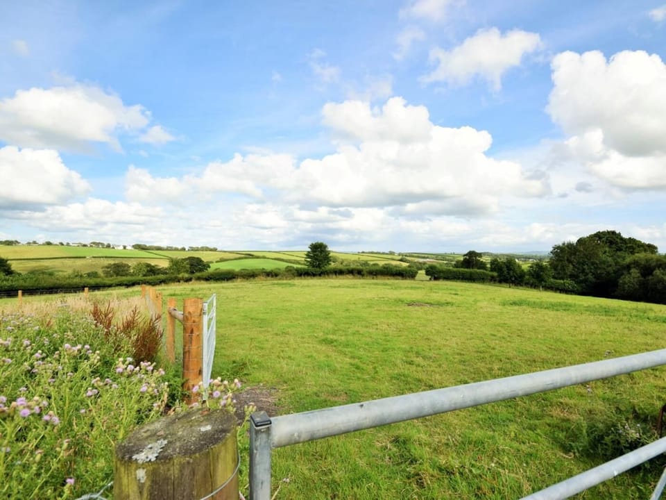 Explore the neighbouring fields