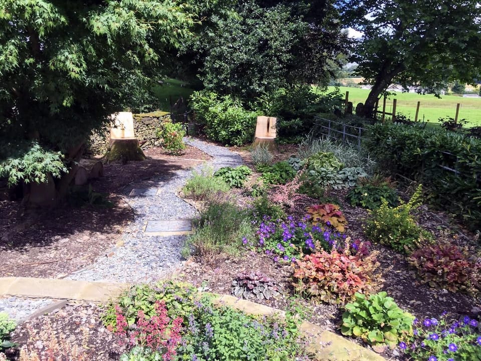 Woodland garden