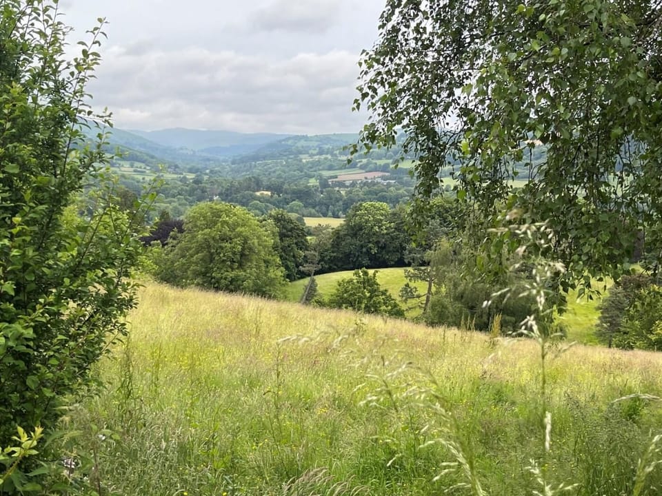 Fabulous views in the area