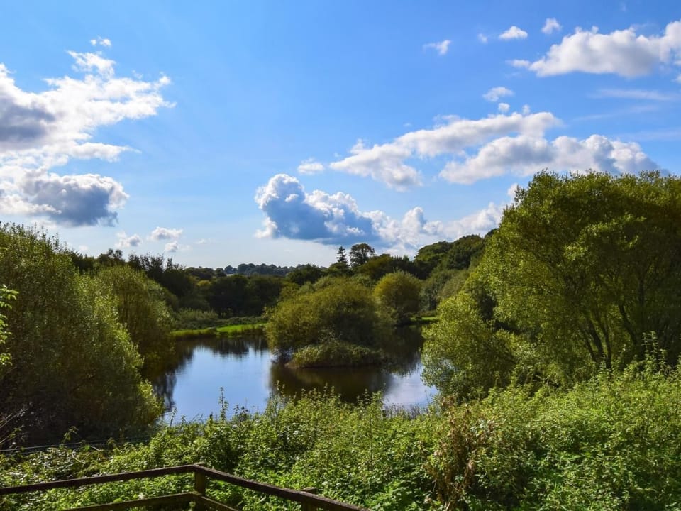 Admire the view across the lake