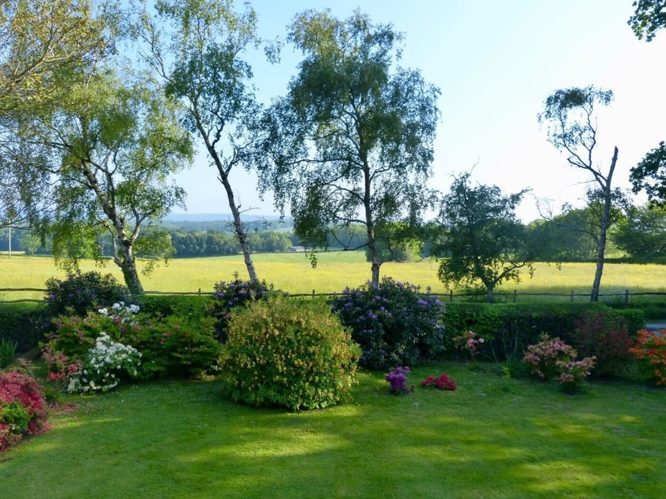 View of the garden from the living room