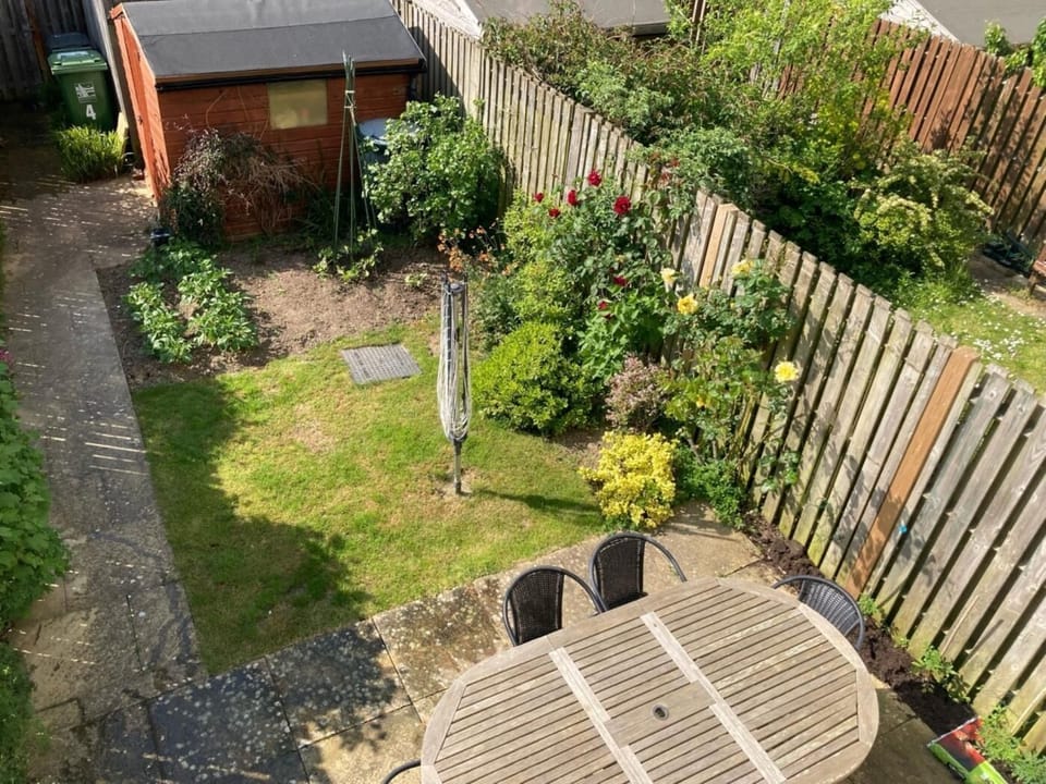 View of the garden from the lounge