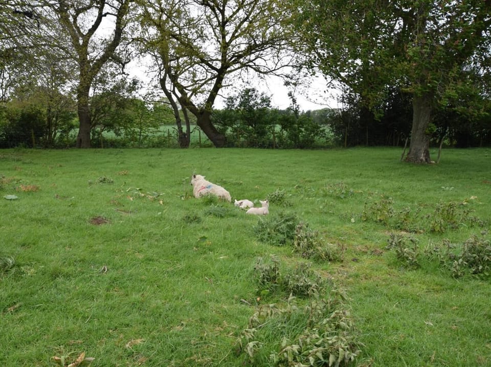 Meet the friendly neighbours