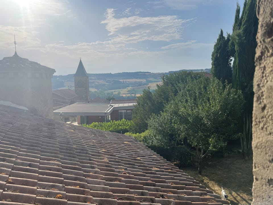 Comfort Room, Garden View | View from room
