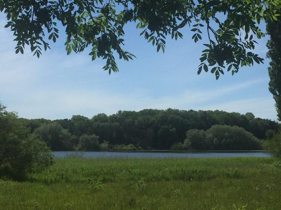 Walk from the property down to Chew Valley Lake