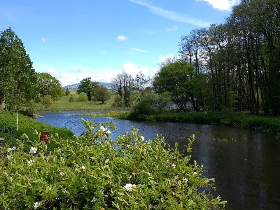 Visit The Botanic Garden of Wales to enjoy a great day out