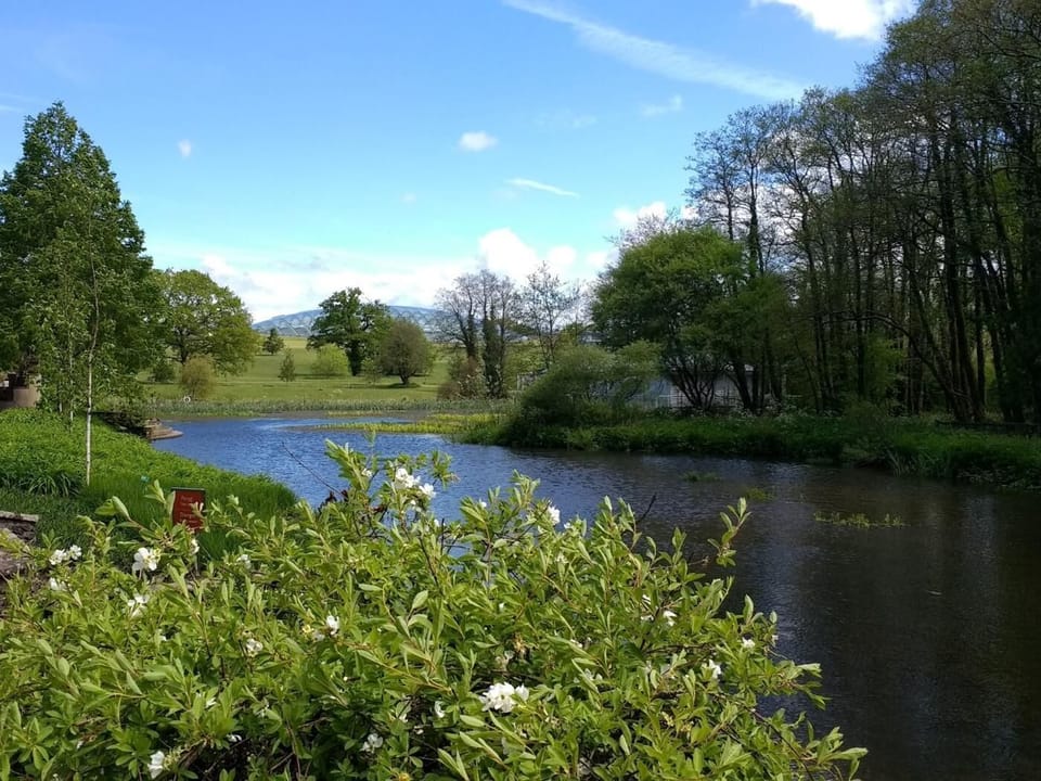 The Botanic Garden of Wales is a great day out