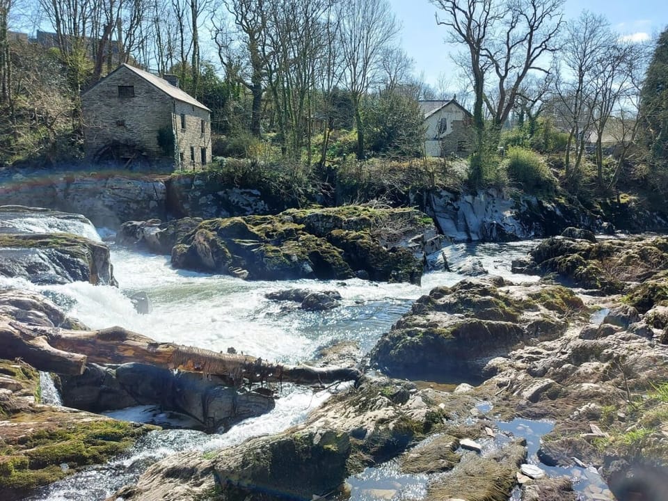 Breath-taking views at Cenarth Falls