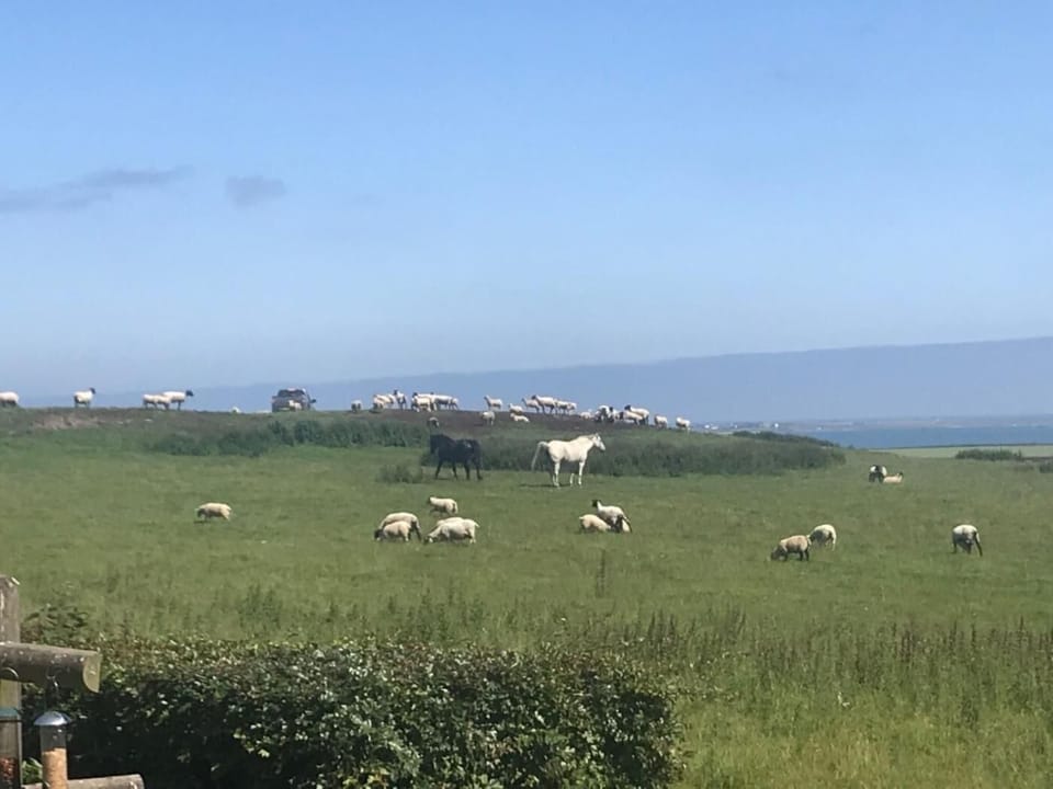 Views from the rear of the cottage