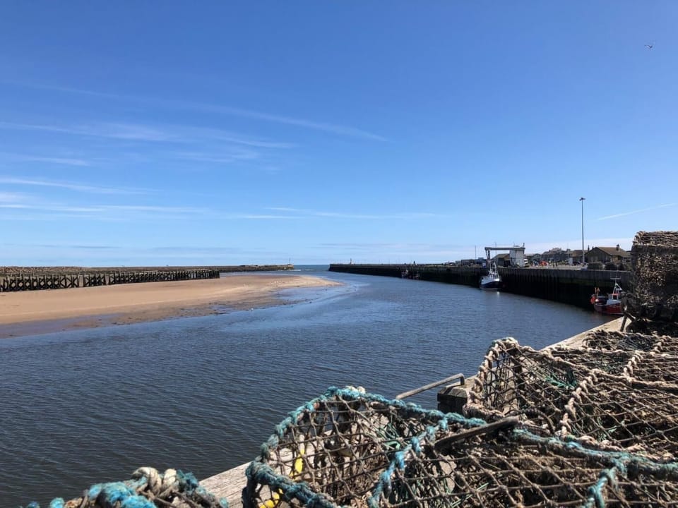 Eat fresh fish and chips on a bench by the harbour 