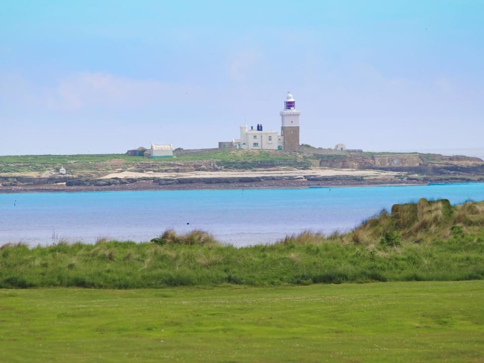 Take a boat trip to Coquet Island