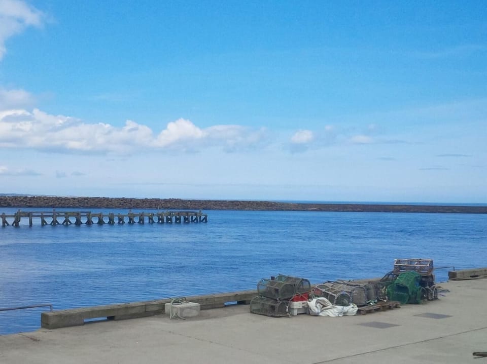The harbour