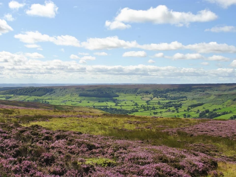 Nearby views across Farndale