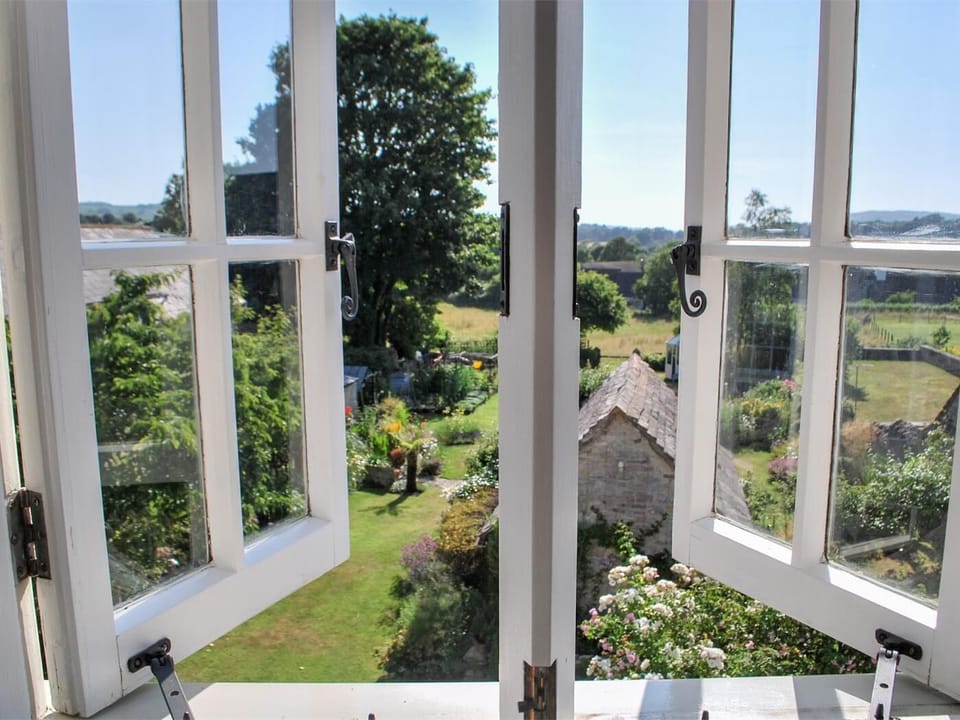 View of the garden 