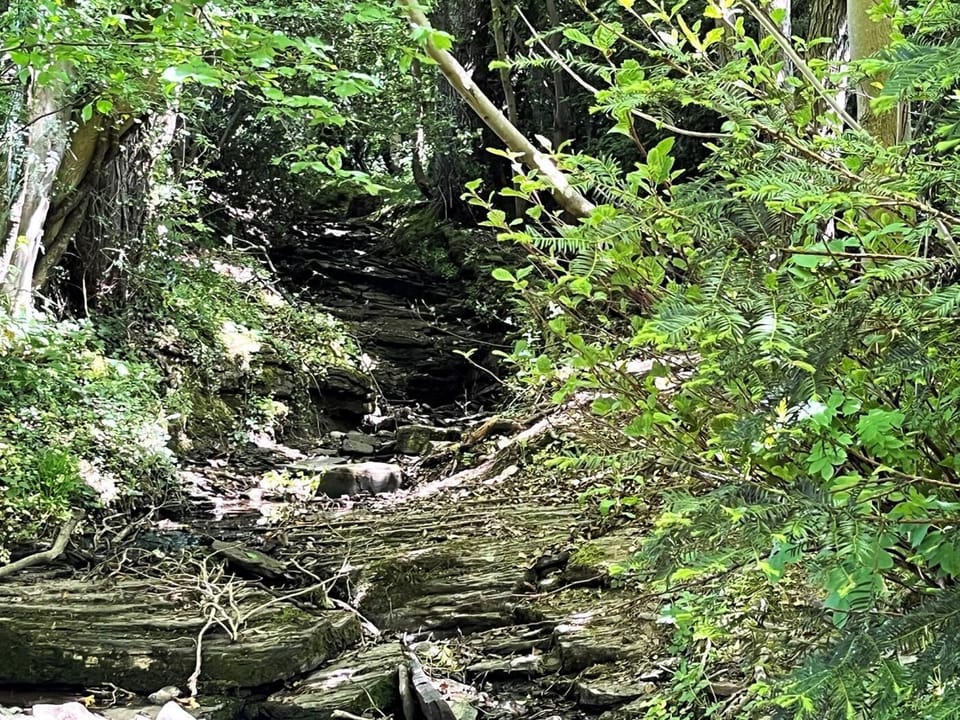 The old drovers' road is visible