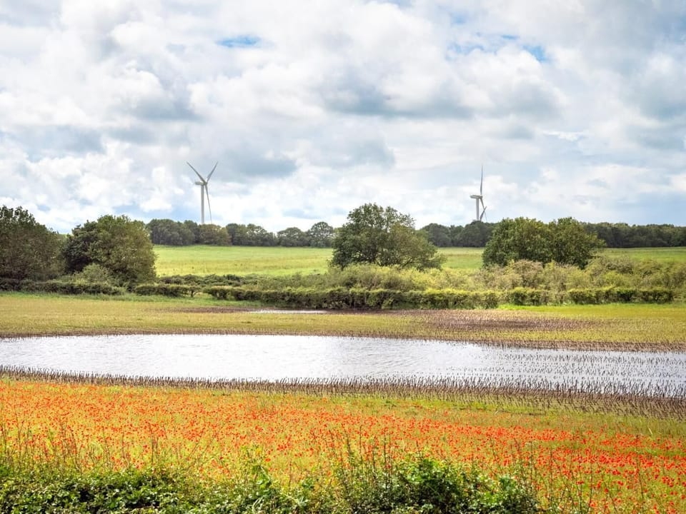 Syderstone common - directly in front of cottage 
