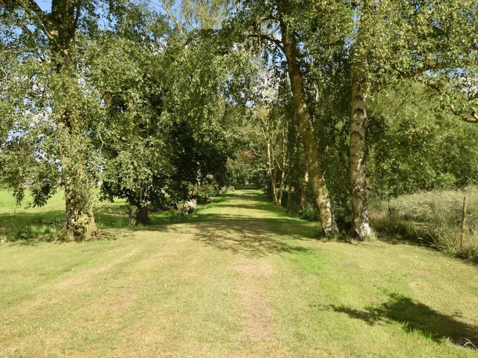 Lovely tree-lined walk down to the river Thet