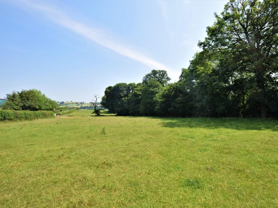 Large paddock perfect for exercising dogs