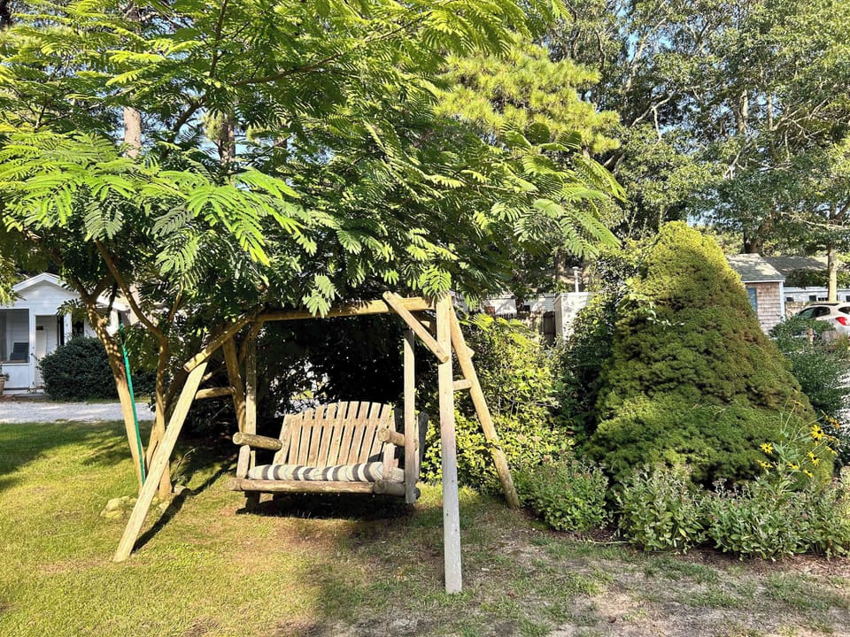 Wooden swings located throughout!
