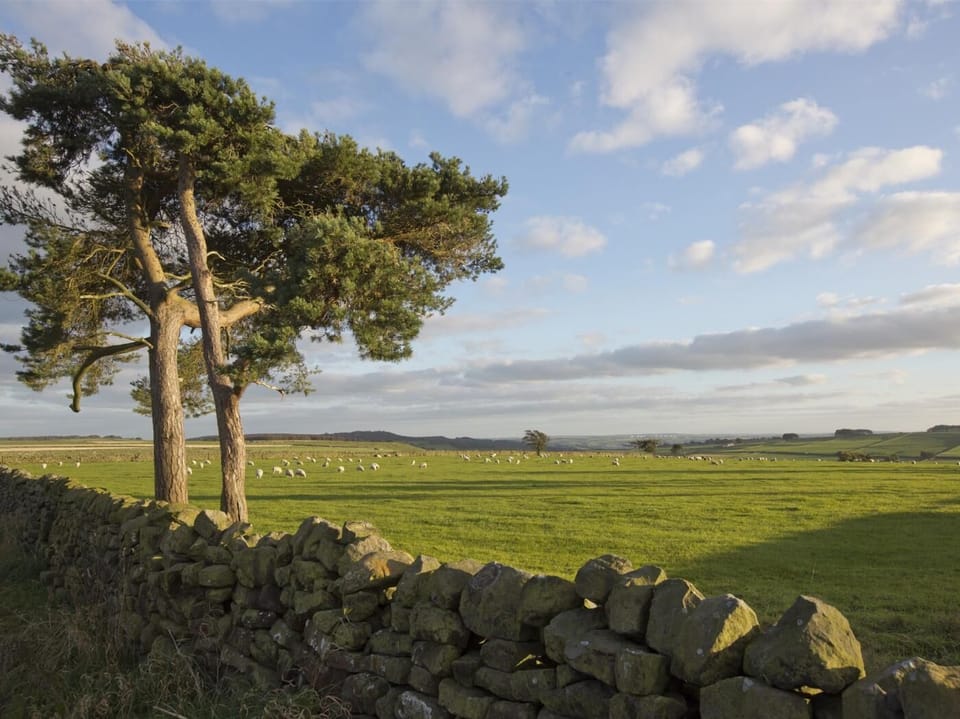 Take a moment and take in the peaceful surrounding area