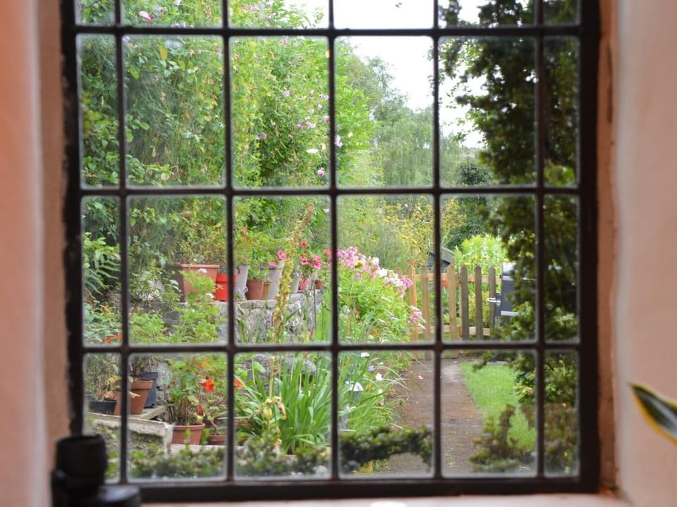 Stunning garden views