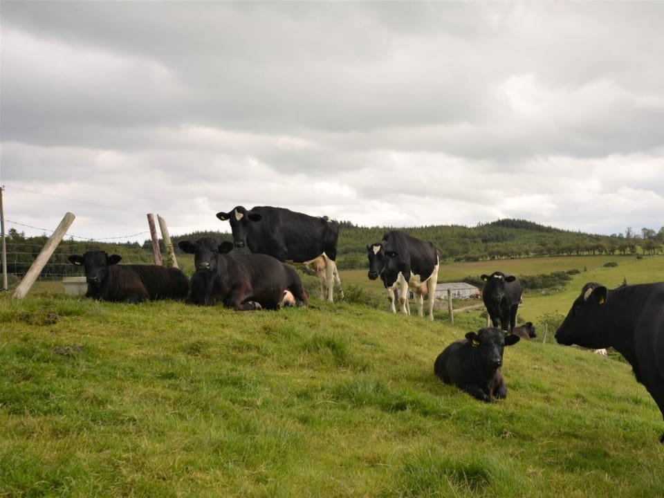 Walk to meet the local residents