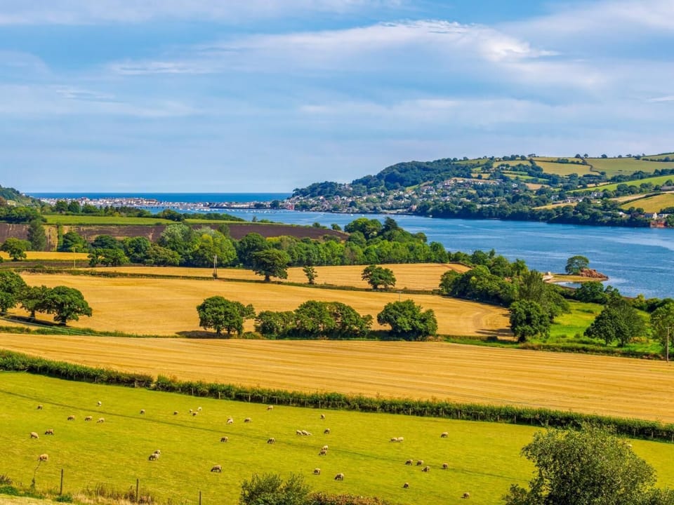 The River Teign Estuary