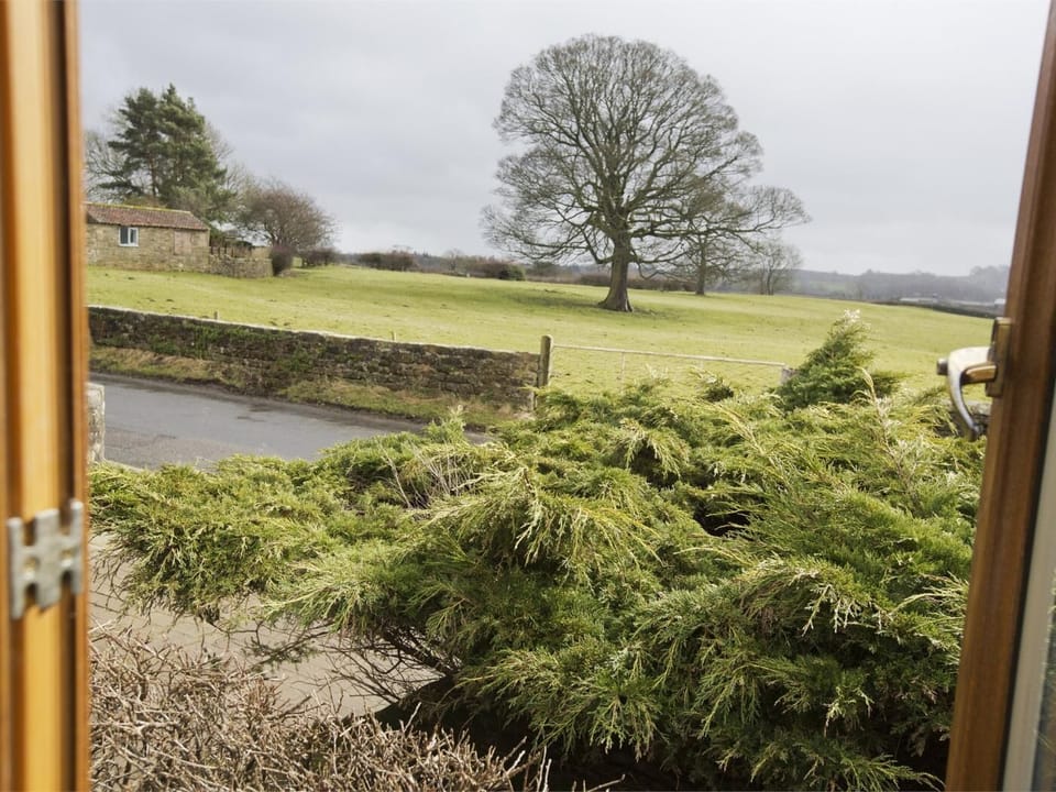 Fabulous walks from the doorstep