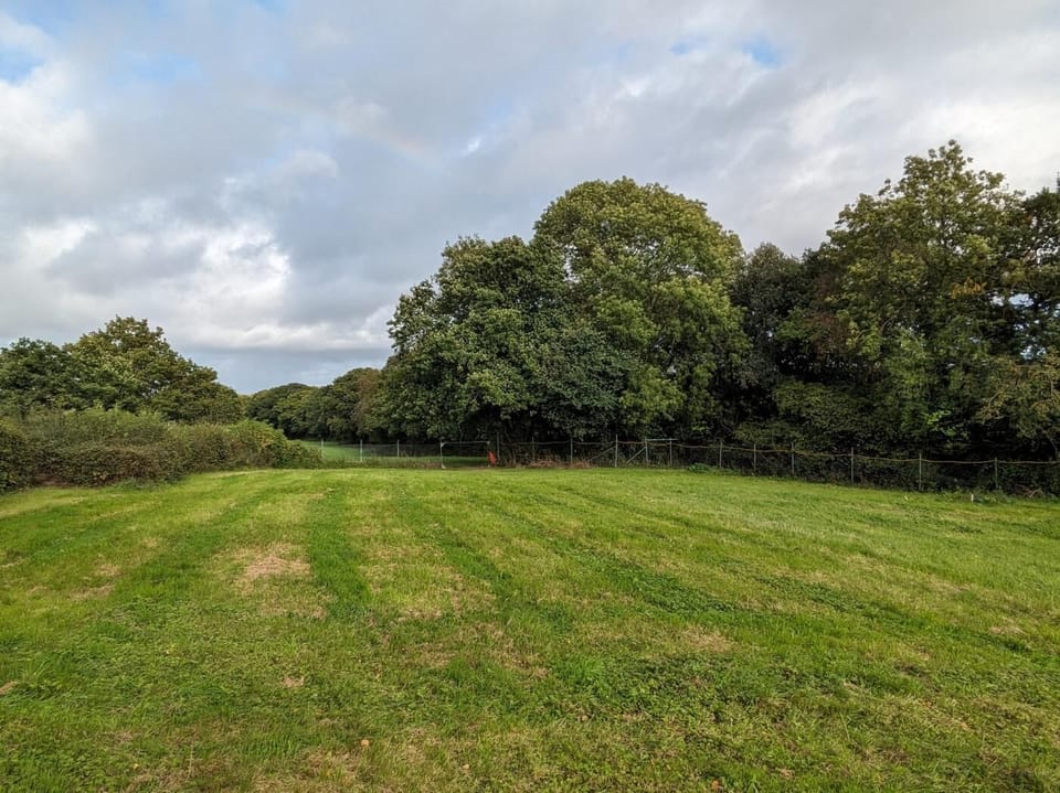 Field available for dogs