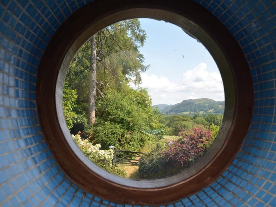 View from the lounge's round window towards the paddock
